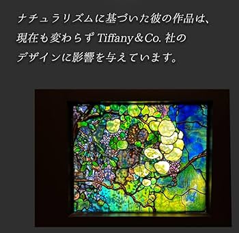 619No+IoTmL._UF350,350_QL80_.jpg